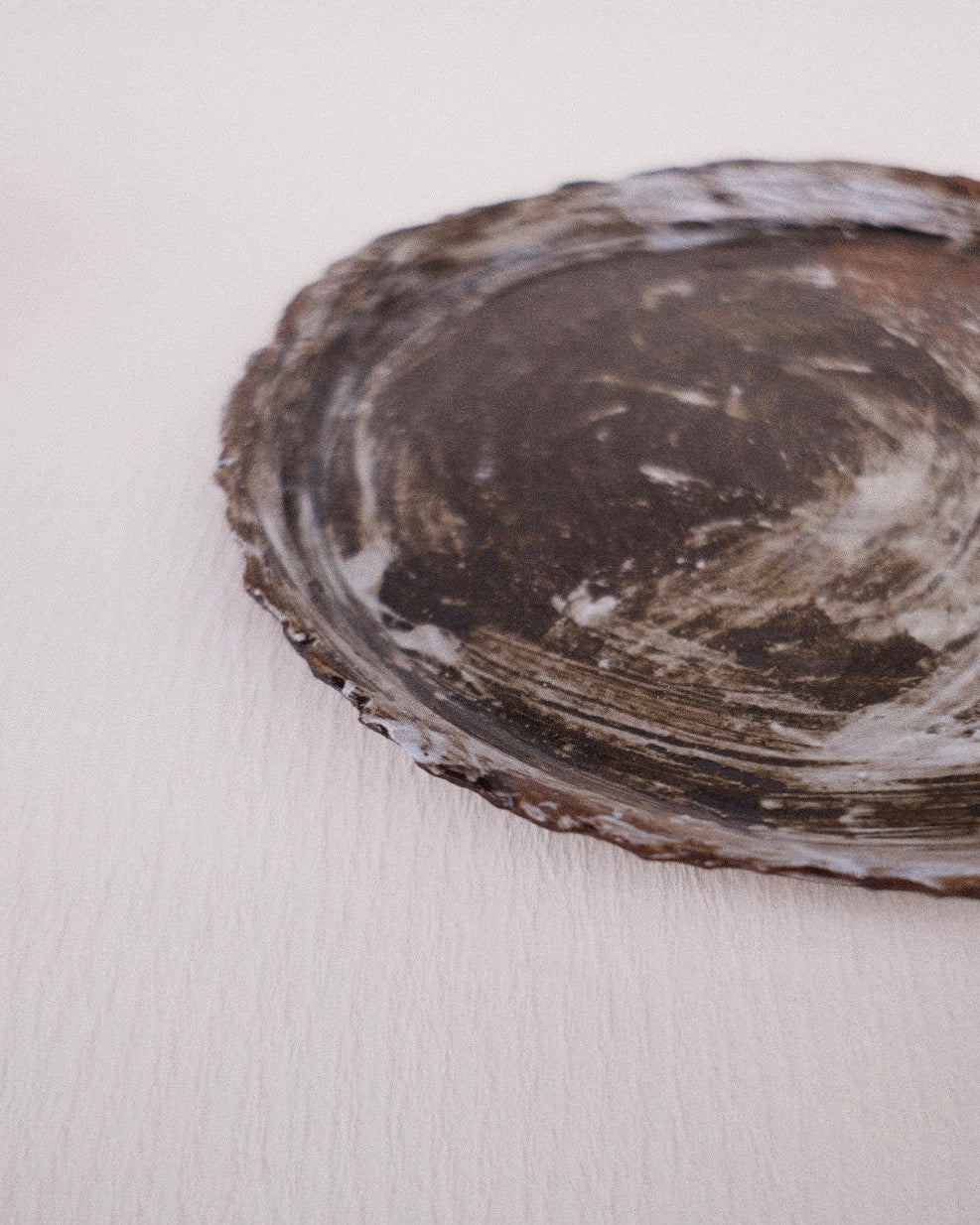 SHUTTO PLATE