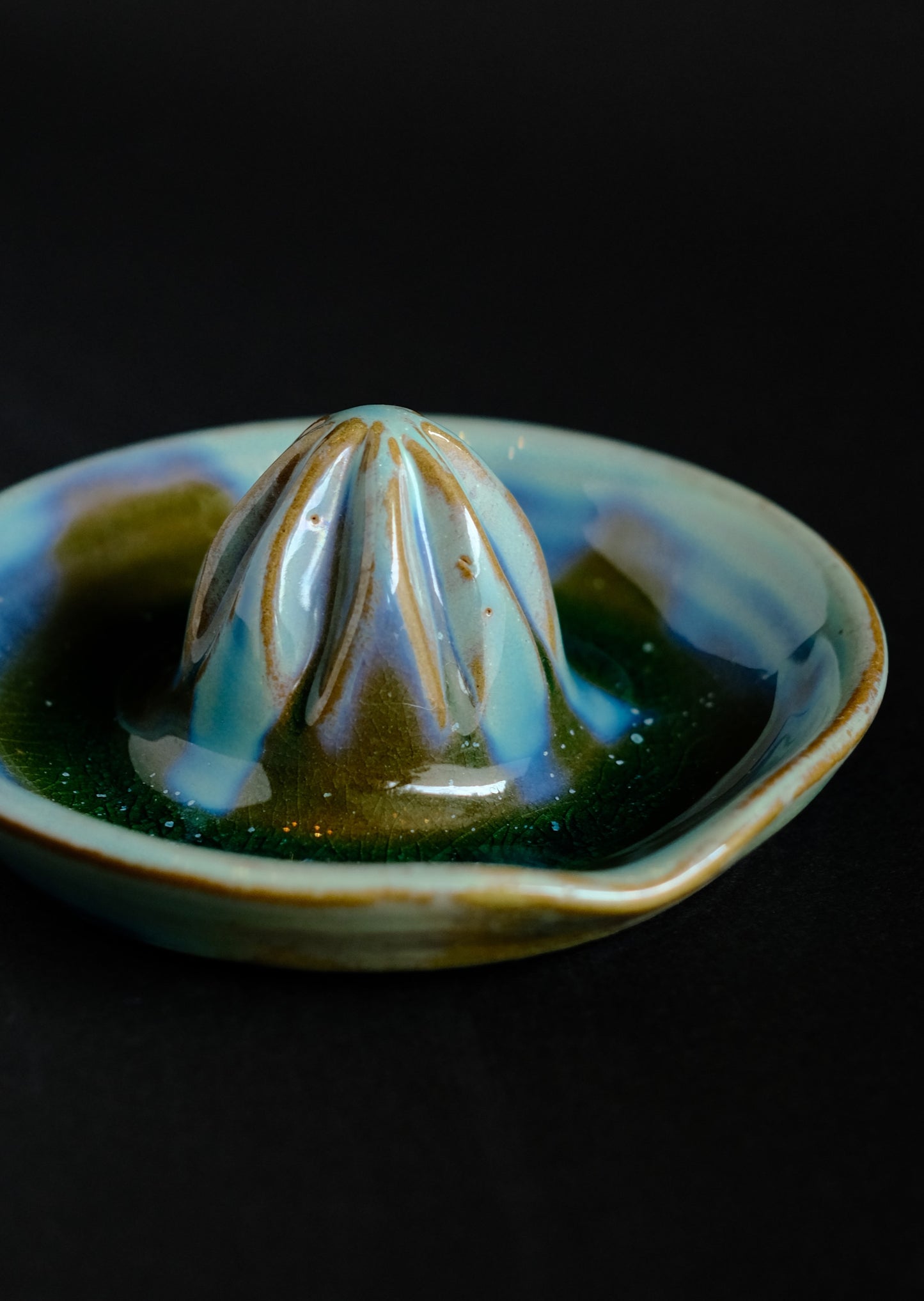 Citrus Juicer