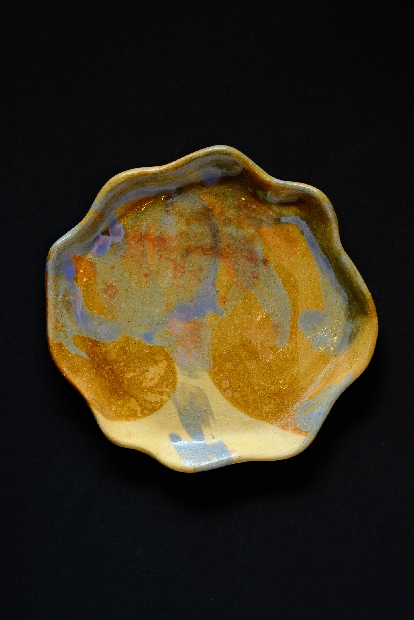 AMEBA PLATE 01
