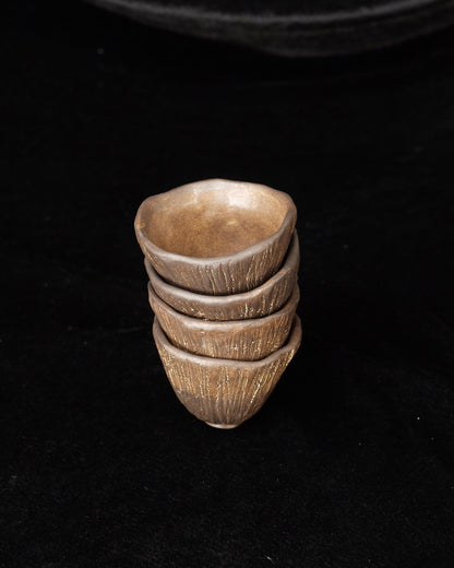 Black Series - Kuri Cup