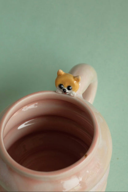 Jiff the pomeranian dog